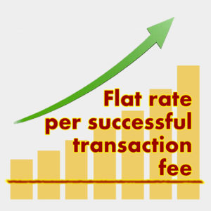 Flat rate per successful transaction fee